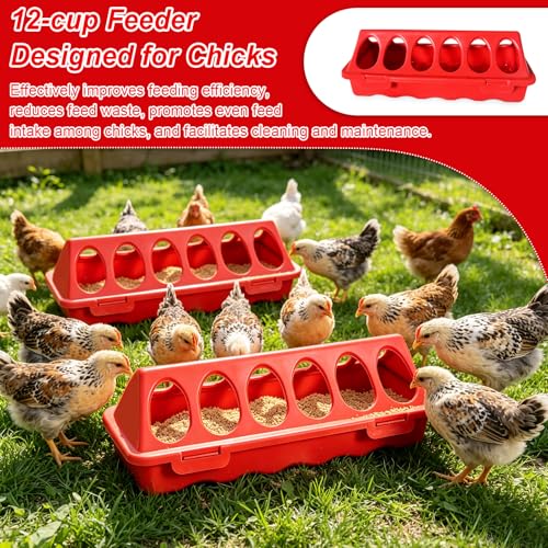 Chick Feeder and Waterer Set, 3 Pack 12-Hole No-Spill Poultry Feeders with 1PCS 1L Automatic Chicken Waterer, Baby Chick Starter Kit for Ducklings, Quail, Small Birds