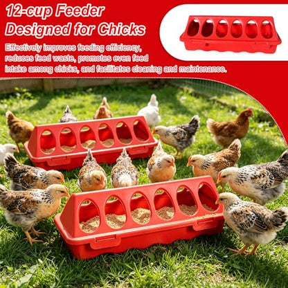 Chick Feeder and Waterer Set, 3 Pack 12-Hole No-Spill Poultry Feeders with 1PCS 1L Automatic Chicken Waterer, Baby Chick Starter Kit for Ducklings, Quail, Small Birds
