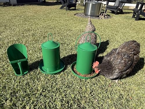 Zylina Powder Coated Green Metal Chicken Waterer 1 Gallon/Feeder 9 lbs/Scoop Combo Pack