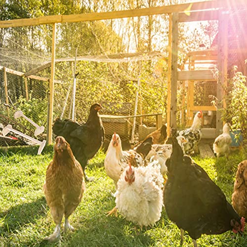 Chicken Perch, Wooden Large Bird Support Frame Bird Cage Play Stand Toy Set Birdcage Wood Stands Hanging Chew Toys Ladder Swing