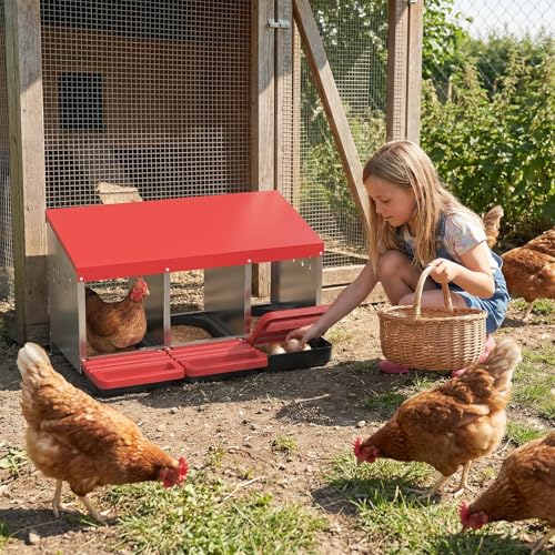 Heavy Duty Galvanized Steel Chicken Nesting Box – 3 Holes, Roll Away Egg Laying, Protective Lid, Wall Mounted, Easy Clean, Vented Pegboard Side, Red (Pegboard Side) - color: Red, size: 3 Room&Mat Board