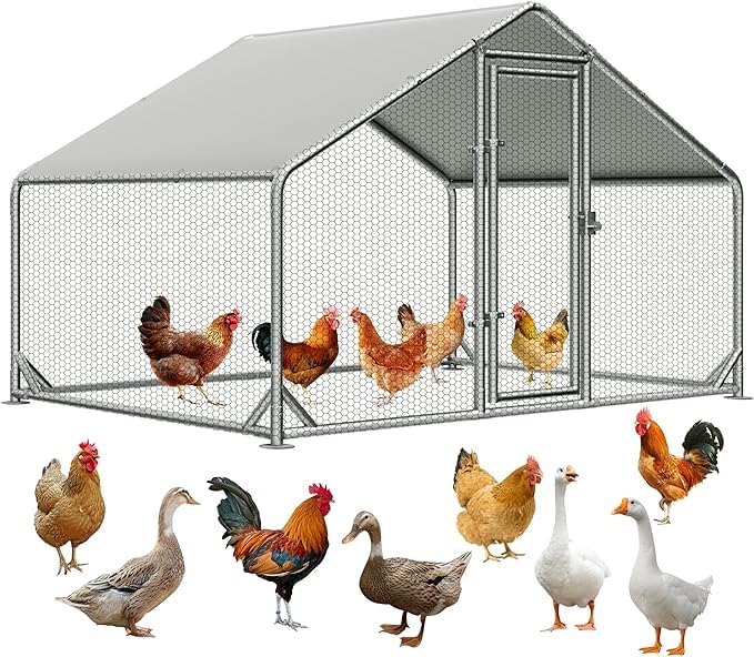 Large Metal Chicken Coop, Walk - in Chicken House, Outdoor Chicken Coop for 5-10 Chickens Yard/Farm/Ranch Outdoor Fresh Egg Supply (6.7x10x6.5 FT)