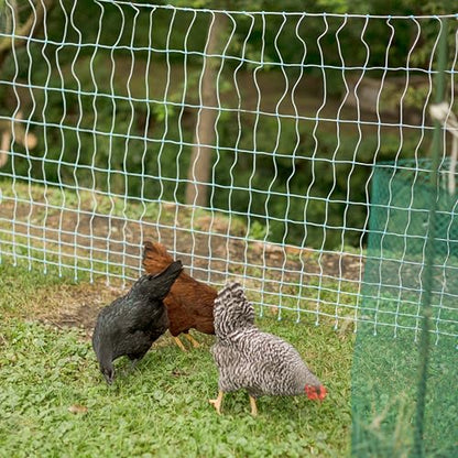 42" x 164' Electric Poultry Netting | Double Spiked Fiberglass Posts | Electric Fencing for Chickens in Backyards, Homesteads, Farms, and Ranches