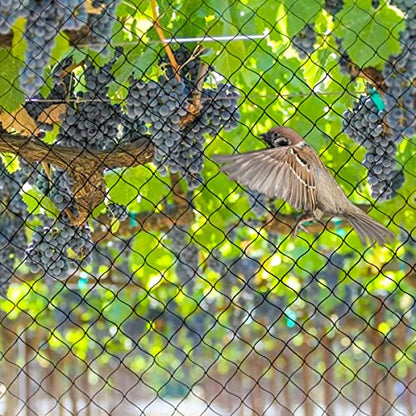 OGORI 50' x 50' Bird Netting Heavy Duty Nylon 3/4" Mesh Garden Netting Protect Fruit Trees, Plants and Vegetables - size: 50'×50'-3/4''
