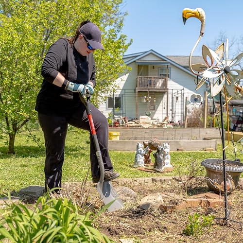 Radius Premium 41-Inch D-Handle Square Point Shovel, Heavy Duty Steel Shaft, Flat Head Transfer Shovel for Landscaping & Yard Work - style: D-Handle, Square Point