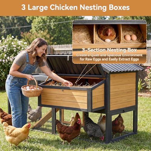 PETSFIT Wooden Chicken Coop with 71" Run for 4-6 Chickens, Predator-Proof Backyard Hen House with 6 Ground Anchors, 3 Nesting Boxes, 3 Perches & Chicken Swing, Waterproof PVC Roof, 3-Door Easy Clean