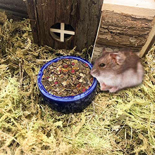 kathson 2 Pcs Hamster Food Bowl Guinea Pig Ceramic Water Bowl Small Animal Feeding Dish for Dwarf Hamster Gerbil Syrian Ferret Hedgehog Chinchilla Bunny (Navy)… - color: Navy