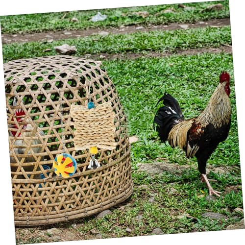 5PCS Chicken Treat Ball Kit Bird Cage Set for Parrots and Hens Chewing and Hanging to Entertain Pets Mood and Health Random Color