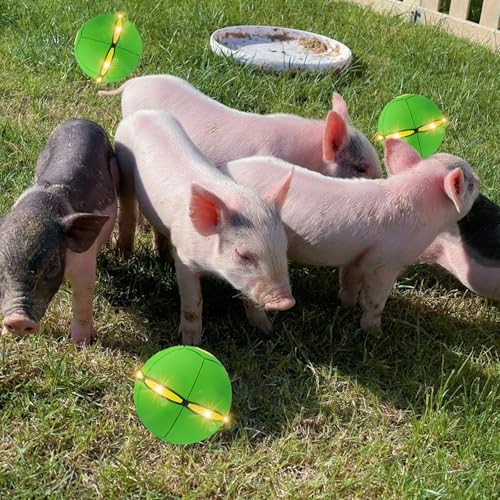 Pig Toy - Toy for Pigs, Interactive Pig Flying Saucer Disc Ball Toys with 6 Lights for Mini Pigs, Enrichment Play for Pet Pigs Supplies Enjoyment and Fun-Green - color: Green
