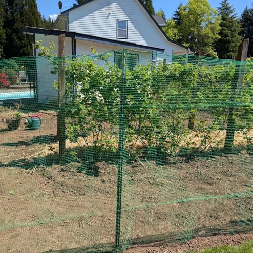 Plastic Garden Fence 5x100 FT Deer Fence Netting, Temporary Mesh Fencing Animal Barrier for Deer, Chicken, Poultry, Pet, Wildlife, Garden Bird Netting for Plant Fruit Tree Vegetable Protection - size: 5x100 FT