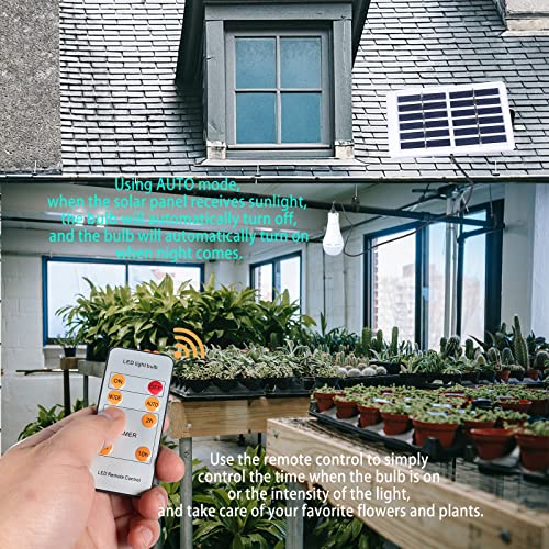 Solar Light Bulbs Rechargeable with Remote Timer, 4 Modes Solar Powered Lantern for Indoor&Outdoor Chicken Coop Hurricane Emergency Lighting Hiking Camping (White, 300lm-2pack)