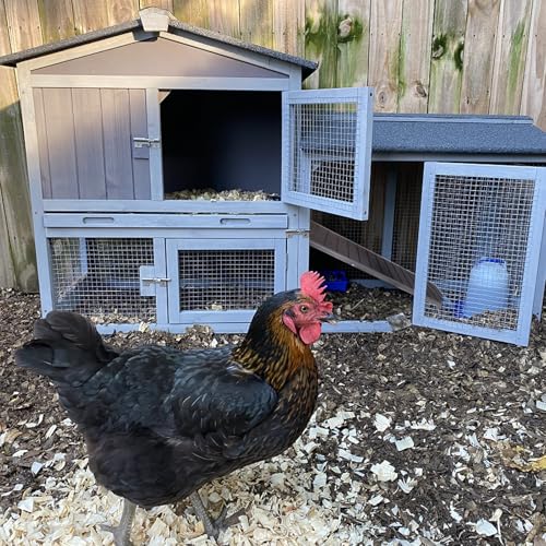 Chicken Coop Outdoor, Wooden Chicken House with Leakproof Tray and Waterproof Roof, Small Chicken Coops for 2 Chickens, Duck House, Rabbit Hutch