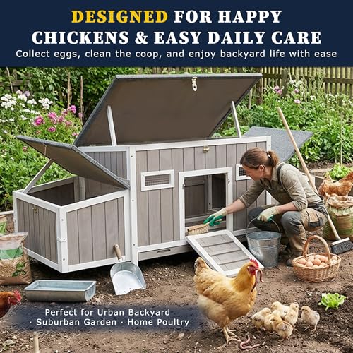 Gowoodhut Outdoor Chicken Coop Wooden Hen House Hens Coop for Backyard Poultry Tractor for 2-4 Chickens with Weatherproof Asphalt Roof, 4 Nesting Box, 2 Roosting Bar, Pull-Out Tray (Coop84 NoRun) - size: 62.2"L x 22.8"W x 28.5"H