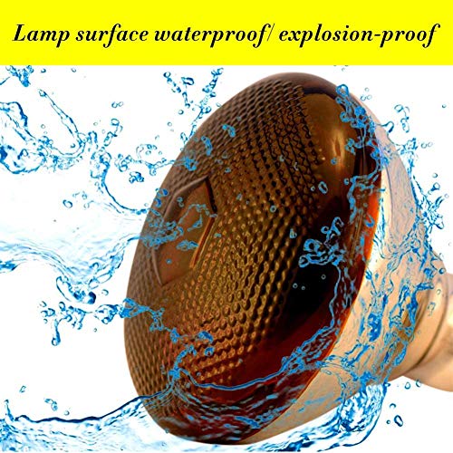 2 Pack 250W Red Heat Lamp Infrared Bulbs PAR38 Glass Lamp Bulb for Food Service, Brooder Bulb, Chicks, Pet, Bathroom, Light Therapy Use E26 Base, Flood Light Heat Lamp. - size: STD-250W
