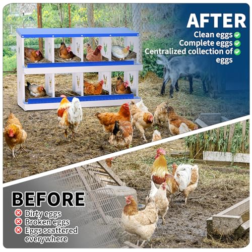 Chicken Nesting Box,8 Holes Galvanized Steel Metal Chicken Laying Box with Automatic Roll-Away Egg Collection System & Removable Tray,Wall Mount Nesting Boxes - color: Blue, size: 8 Holes