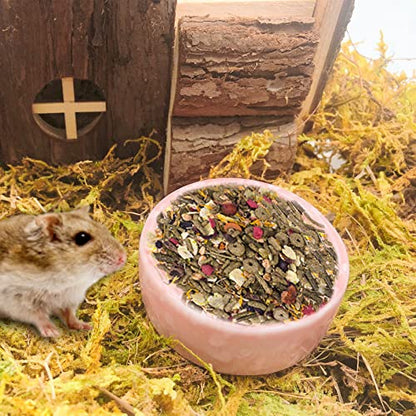 kathson 2 Pcs Hamster Food Bowl Guinea Pig Ceramic Water Bowl Small Animal Feeding Dish for Dwarf Hamster Gerbil Syrian Ferret Hedgehog Chinchilla Bunny (Pink)… - color: Pink