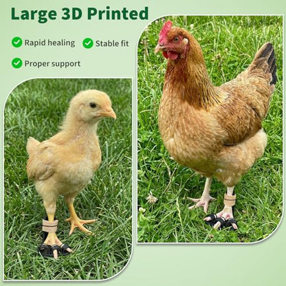 4 Size Chicken Leg Splints with Toe Separator, Durable and Unbreakable PETG Material for Broken Leg Bumblefoot Curled Toes, Reinforced Poultry Leg Brace for Hens Chicks Ducks