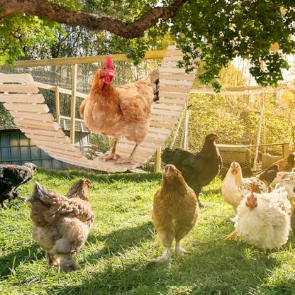 Jorewood Chicken Coop Toy Natural Wooden Chicken Swing & Bridge Toys Multi-Functional Poultry Perch with Wooden Beads (Safe for Chickens/Ducks) - color: Yellow