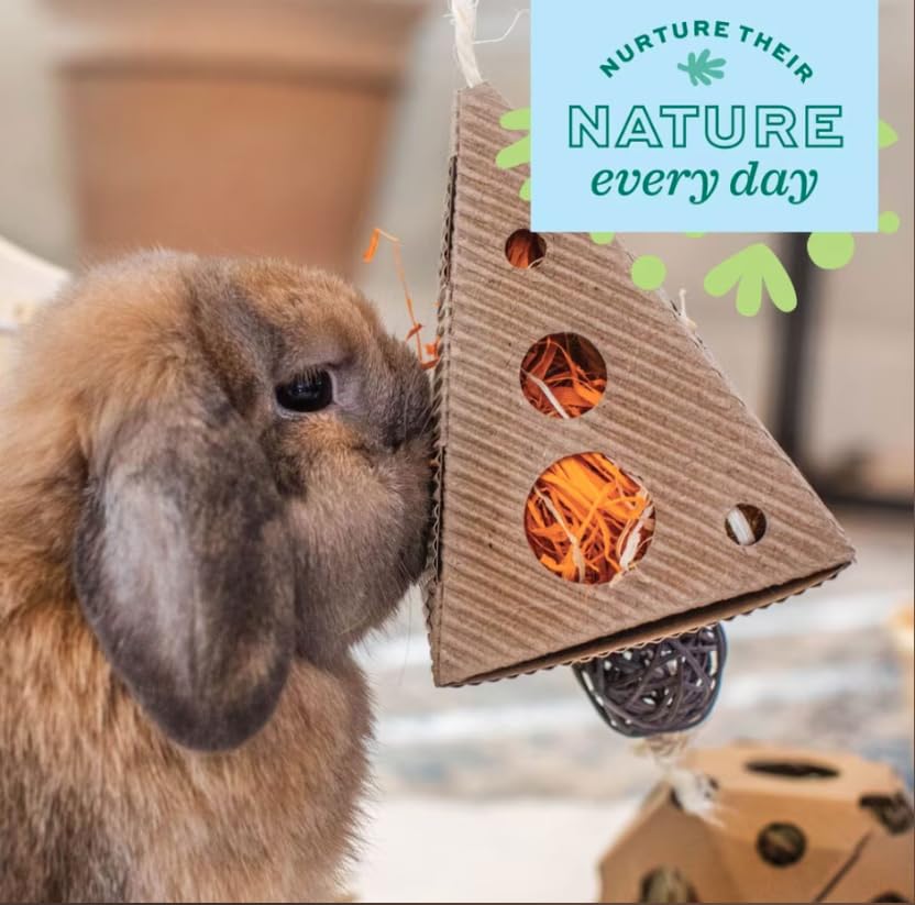 Enriched Life Pyramid Treat Hanger Small Pet Toy | Playful Chews for Rabbits, Guinea Pigs and Other Small Animals