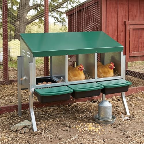 Metal Chicken Nesting Box - Heavy Duty Roll Away Nesting Boxes for Chickens Coop with Easy-Collect Tray & Lid, 3 Hole Galvanized Steel Egg Laying Boxes for Hens Ducks, Wall Mount or Freestanding - color: Green, size: 3 Holes with legs