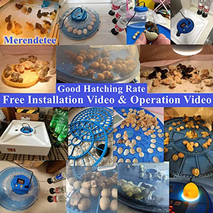 26-52 Eggs Automatic Incubator | Upgrade Automatic Water Adding |360 Degree View | incubators for Hatching Eggs |Without Installation Use - size: 26-BLUE2