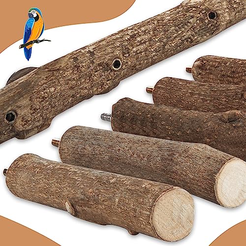Parrot Wood Stand, Parrots Perch for Cage, Natural Bird Ladder for Small Medium Parrot, Parakeets, Cockatiels, Conures, Hamster(12.2 inch)