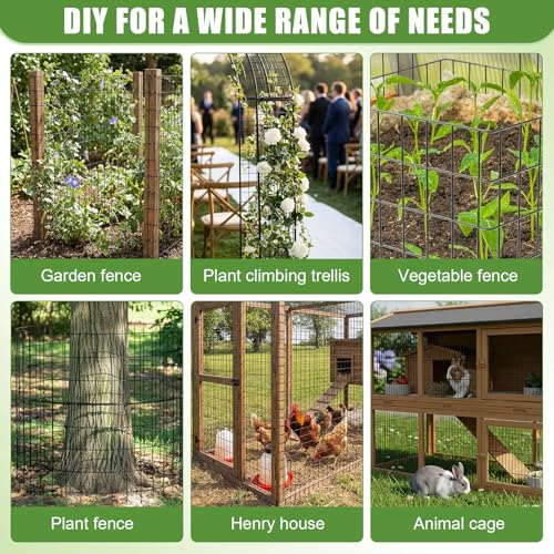 2 Roll 25 ft 50 ft in Total Black Metal Galvanized Welded Wire Fence Garden Animal Fencing Outdoor PVC Coated Wire Mesh for Yard Vegetable Plant Protection Poultry Netting for Chicken, Dog