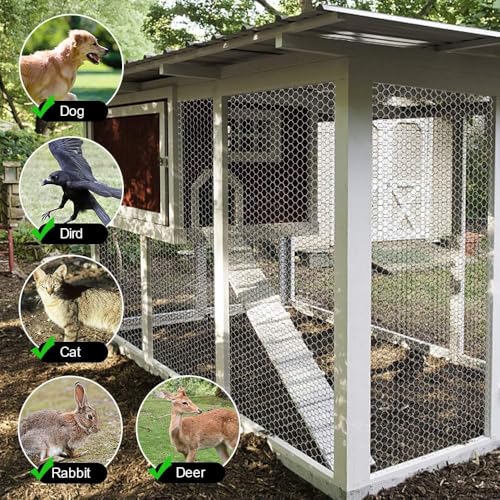 Amagabeli Chicken Wire Fencing 36inchx50ft Hexagonal Poultry Netting Galvanized Mesh Fence Chicken Netting Rabbits Pets Dog Cat Vegetable Garden fencing Barrier - color: Galvanized, size: 1" 36"x50'