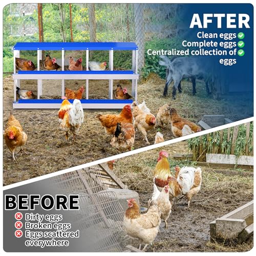 Garvee Rustproof Metal Chicken Nesting Box – 10 Compartments, Roll Away Egg Collection, Perch, Lid & Ventilation, Easy Install & Clean, for Hens, Without Bracket, Blue - color: Blue, size: 10 holes