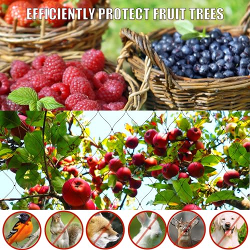 Bird Netting for Chicken Coop - 50x50ft Chicken Netting for Chicken Coop Roof, Poultry Net Coop Netting Cover, Hawk Netting for Chicken Run Fence, 2.4" Mesh Anti Bird Net for Garden Aviary Tree Deers - size: 2.4", 50' x 50'