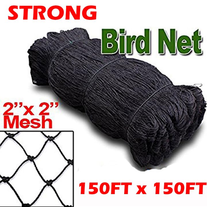 XXX-Large Strong All Season 150' x 150' Net Netting for Bird Poultry Aviary Game Pens New 2" Square Mesh Size (150ft x 150ft) - size: 150ft x 150ft