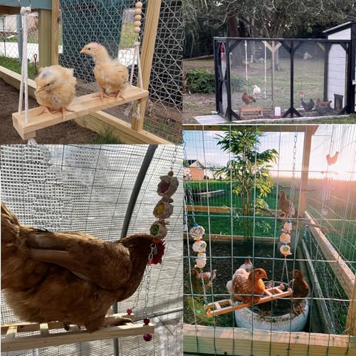 Chicken Toys for Coop 8 Set Chicken Swing Chicken Xylophone Mirror, Vegetable Hanging Feeder for hens