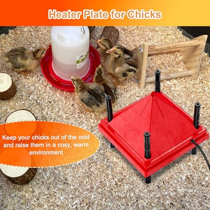ZenxyHoC Brooder Plate for Chicks with Anti-Roost Cone, Chick Brooder Heater Red 10" x 10" with Constant Temperature - size: 10" x 10" with Constant Temperature
