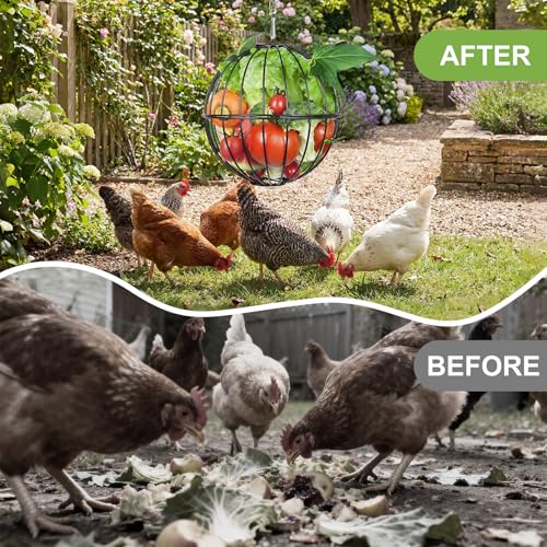 Hanging Chicken Feeder - 7.1 Inch Metal Chicken Treat Holder Ball with Hanging Chain, Sturdy Poultry Vegetable Fruits Feeder Basket for Chicken Coop