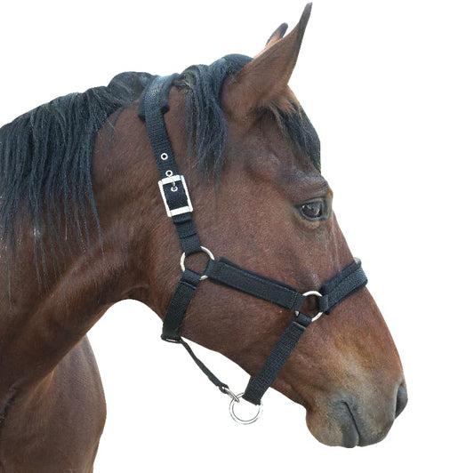 Adjustable Horse Halter with Polar Fleece Lined, Rope Halters, Equestrian Horse Riding Headcollar with Satin Hardware, Prevents Rubs, Adjustable Fit,Great for Trailering & Shows - color: Black, size: Large