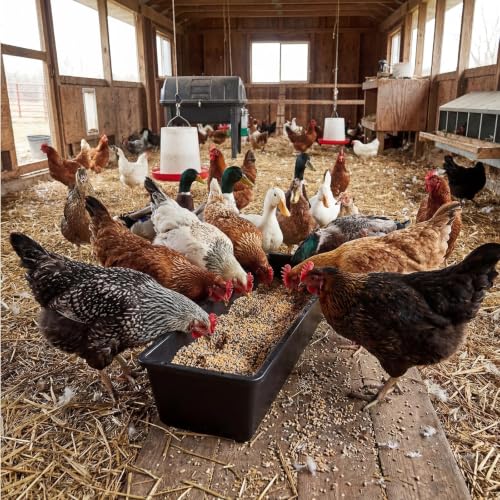 4 Pack 12 Gallon Rubber Feed Pan, 39 Inch Plastic Feeding Trough | Heavy Duty Molded Plastic Design for Horse, Goat, Pig And Livestock Use, Durable Square Design For Farm Feeding Tasks - size: 38.9 × 12 × 7.2 in