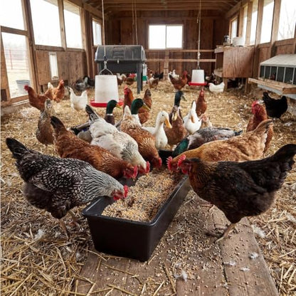 4 Pack 12 Gallon Rubber Feed Pan, 39 Inch Plastic Feeding Trough | Heavy Duty Molded Plastic Design for Horse, Goat, Pig And Livestock Use, Durable Square Design For Farm Feeding Tasks - size: 38.9 × 12 × 7.2 in