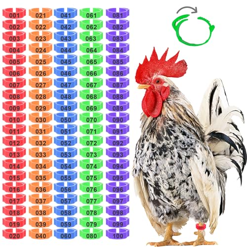 100Pcs Adjustable Chicken Leg Bands | 5 Color Chicken Leg Rings |Durable Poultry Chicken Tags for Legs | Chicken Leg Bands Multicolor | Not Falling Leg Bands for Chickens