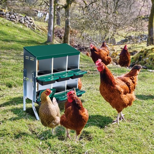 6-Hole Chicken Nesting Box with Removable Lid, Metal Chicken Coop with Roll Away Design/Easy Egg Collection/Ventilation Holes, for Chicken Coops, Duck Coops and Hens - color: Green, size: 6 holes with Legs