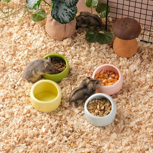 VanEnjoy 2 Pack Medium Hamster Food Bowl Ceramic Guinea Pig Food Dish No Spill Hamster Food and Water Bowl Small Animal Food Bowl - Pink and Blue - size: 2.95"*2.17"