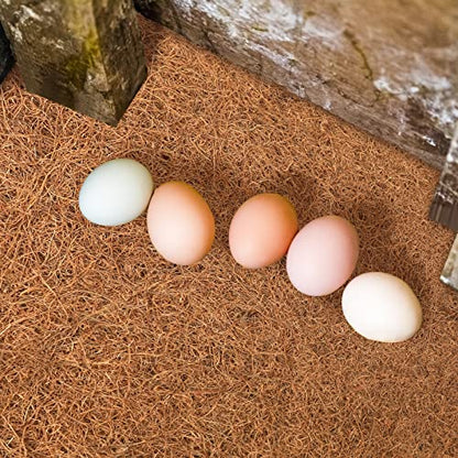 Chicken Nest Pad, 33 x 33 cm Washable Plastic Chicken Nest Box Liner,Chicken Nest Box,Chicken Nest Box Plastic Mat, Chicken Coop Bedding Liners Mat Laying Hen Nesting Box Pads for Hen Laying(10pcs) - color: 10pcs