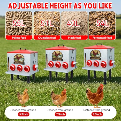 55lbs Automatic Chicken Feeder Large Capacity - 8 Feeding Ports, Galvanized Steel Rainproof Chicken Feeder, Height-Adjustable Legs & Secure Locking Lid for Chickens, Ducks & Poultry