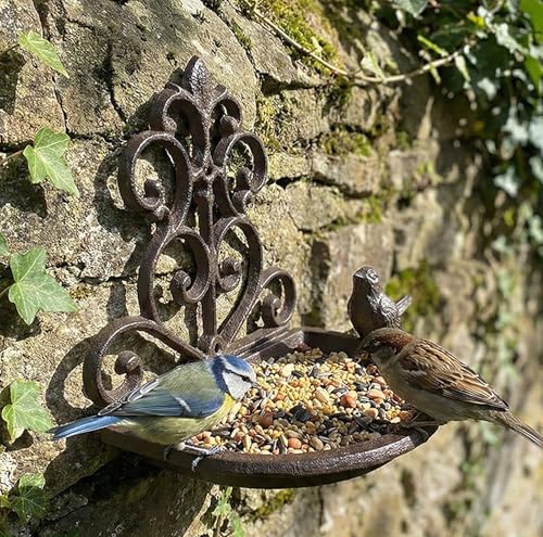 Large Capacity Country Style Bird Feeder, Vintage Feed Trough for Courtyard/Garden, Thickened Cast Iron Feeding Trough with Screws