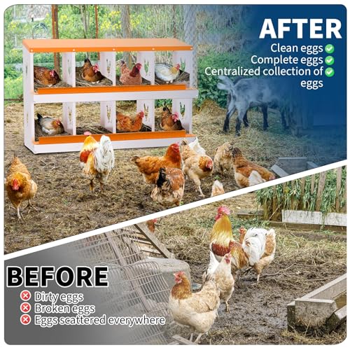 8 Compartment Chicken Nesting Box, Galvanized Steel Metal Laying Box with Removable Tray Roll-Out Egg Collection, Wall Mount Hen Roosting Box, Easy Egg Collection - color: Orange, size: 8 holes
