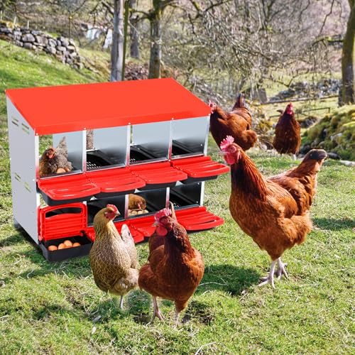 Garvee Chicken Nesting Box, Chicken Laying Box with Egg Collection, Roll Away Nesting Boxes, Metal Egg Laying Boxes for Chickens Coop, Duck Coops and Hens - color: red, size: 8 Compartment