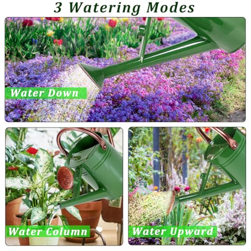 1 Gallon Metal Watering Can with Removable Spout, Nice Galvanized Steel Water Can for Indoor and Outdoor Plants (House Plants) - color: Green