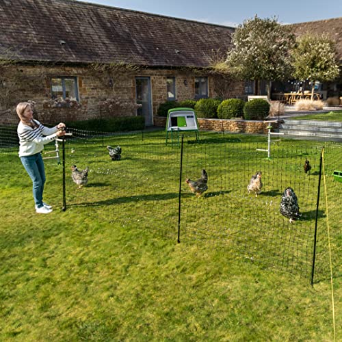 Omlet Chicken Fencing | High Poultry Netting with Door | Significantly Higher Than Other Moveable Fencing Options on The Market | Give Your Chickens More Space | 138ft - size: 138ft
