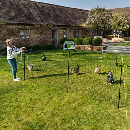Omlet Chicken Fencing | High Poultry Netting with Door | Significantly Higher Than Other Moveable Fencing Options on The Market | Give Your Chickens More Space | 138ft - size: 138ft