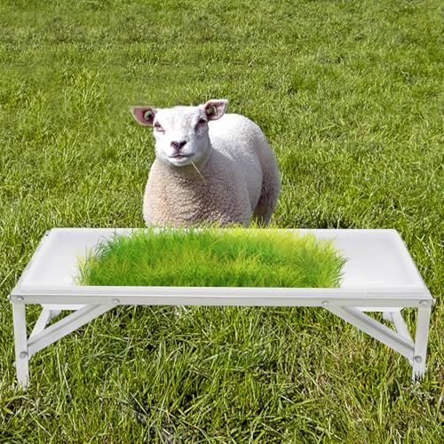 Livestock Feed Trough, 9.25Gal Long Large Capacity Feeder, Hay Feeder with Stand Goat Feeder for Farms, Yards, Sheep Barns