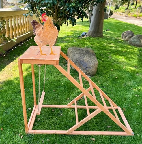 Chicken Roosting Bars with Bird Swing, Ramp, Bars Toys for Pet's Health & Happy, Chicken Perch Easy to Clean, Exercise The Bird's Claws Suitable for Backyard Farms 38.11 X 15.75 X 27.95 (A) - size: Small